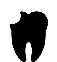 Endodonzia